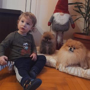 pomeranci i djeca