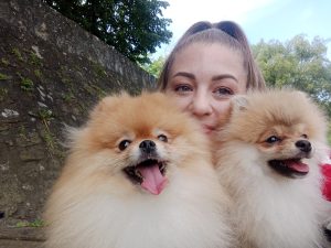 kako izabrati pravog pomeranca